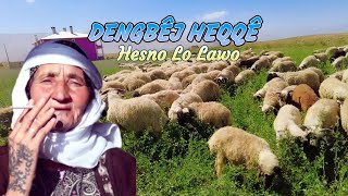 Dengbej Heqqe - Hesno Lo Lawo-Dertli Duygulu Acıklı Yürekleri Yakan Stran Resimi