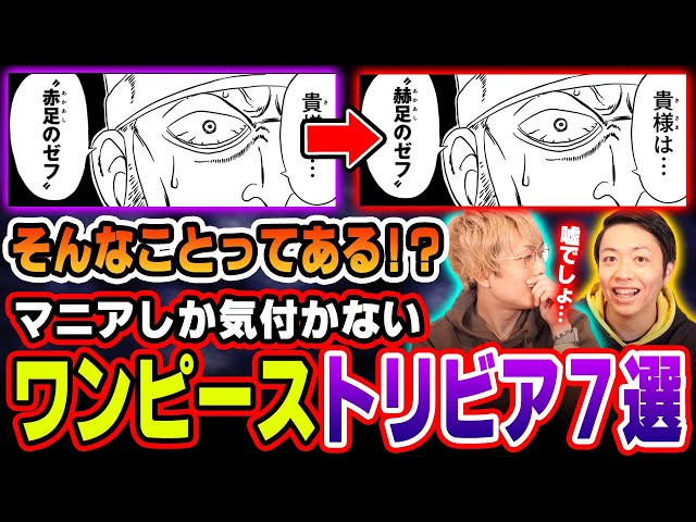 ワンピース　1〜81巻セット　付属:最強考察 ワンピース 1〜81巻セット 付属:最強考察 （【ONE PIECE】作中に