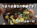 宝箱みたいな箱にちまちま寄せ。