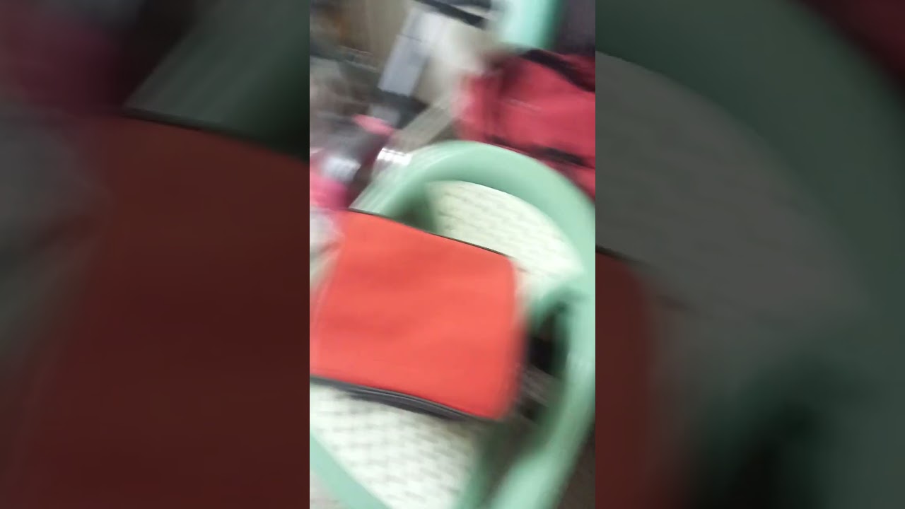 Grandmaster Turtle Ventures Out