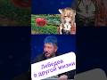 Лебедев в другой жизни   #sleduck #sledovatel #kamysh #shorts  #vtuber #funny #натальнаякарта
