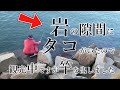 観光中でもそこにタコがいたのなら竿を出すでしょ【衝撃の結果】