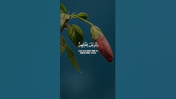سورة الأحقاف اية ٣٣ ياسر الدوسري