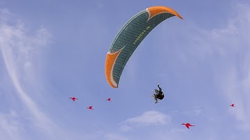 Biospot1 30sek Youtubekampagne HD1080p