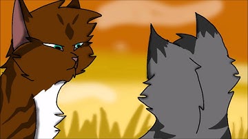 Hawkfrost x Ivypool map part 7