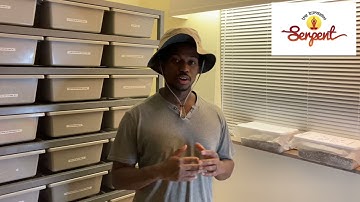 Mystic Potion Hypo Clown Project - #TheKundaliniSerpent - 2021 Clutch #4