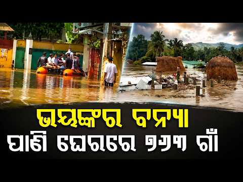 Assam Flood Fury: De@th Toll Rises to 68, Over 5 Lakh People Still Affected | Argus News