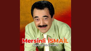 Bahçelerde Isırgan