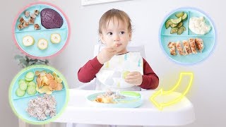 What My Baby Eats In A Day! MEAL IDEAS FOR YOUR BABY