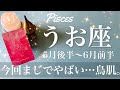 うお座♓️2025年5月後半〜6月前半🌝 人生変えたい人は絶対見てほしい！ものすごい逆転、すべて繋がる、最後の箱の蓋が開く、全く想定外の大きな希望