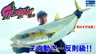 【実釣インプレ】ガチペン160が青物に効果抜群!S字系ダイビングペンシルの使い方を徹底解説!