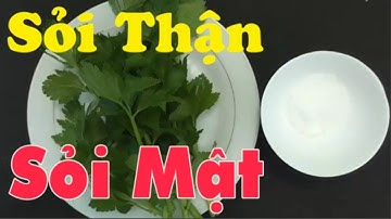 Lấy sạch sỏi thận sỏi mật cả đời không tái phát chỉ với một nắm rau cần tây [ Sức khỏe ]