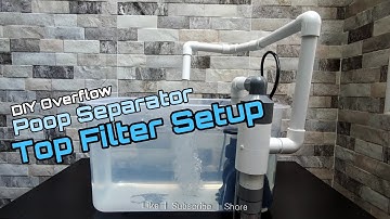 Top Filter Setup using my DIY Aquarium PVC Overflow with Poop Separator feature