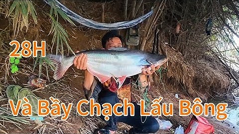 28H Câu Cá Sông Bé, Vịnh Mới Đẹp/#106/Hòa Vlog 934.