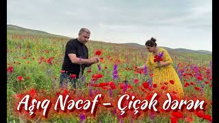 🎵 Aşıq Nəcəf Kəlbəcərli - Çiçək Dərən (2026) Təqdim Olunur