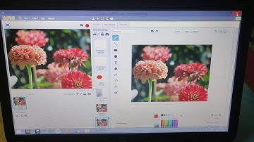 Online Class by Srishti Arora | Class 4 | Ch-7 | Part-4