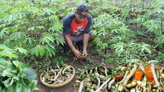 Tumis jenggung daun kencur jeroan ayam bumbu lengkuas muda es sirsak untuk buka puasa h 1