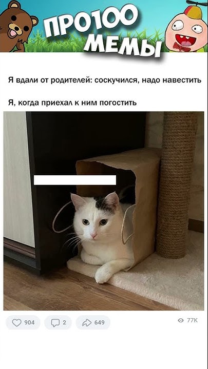 Мемы Просто Мемы - YouTube