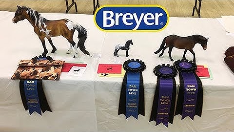 HOW TO go to a LIVE MODEL HORSE SHOW - The Ultimate Guide - Tutorial