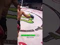 See the Knockout! #fighting #mma #knockout #knockouts
