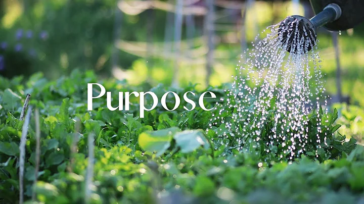 Purpose