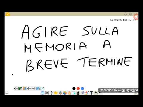 Video: Qual è la funzione della memoria a breve termine?