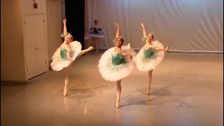 Les Bananes De Francie 2024