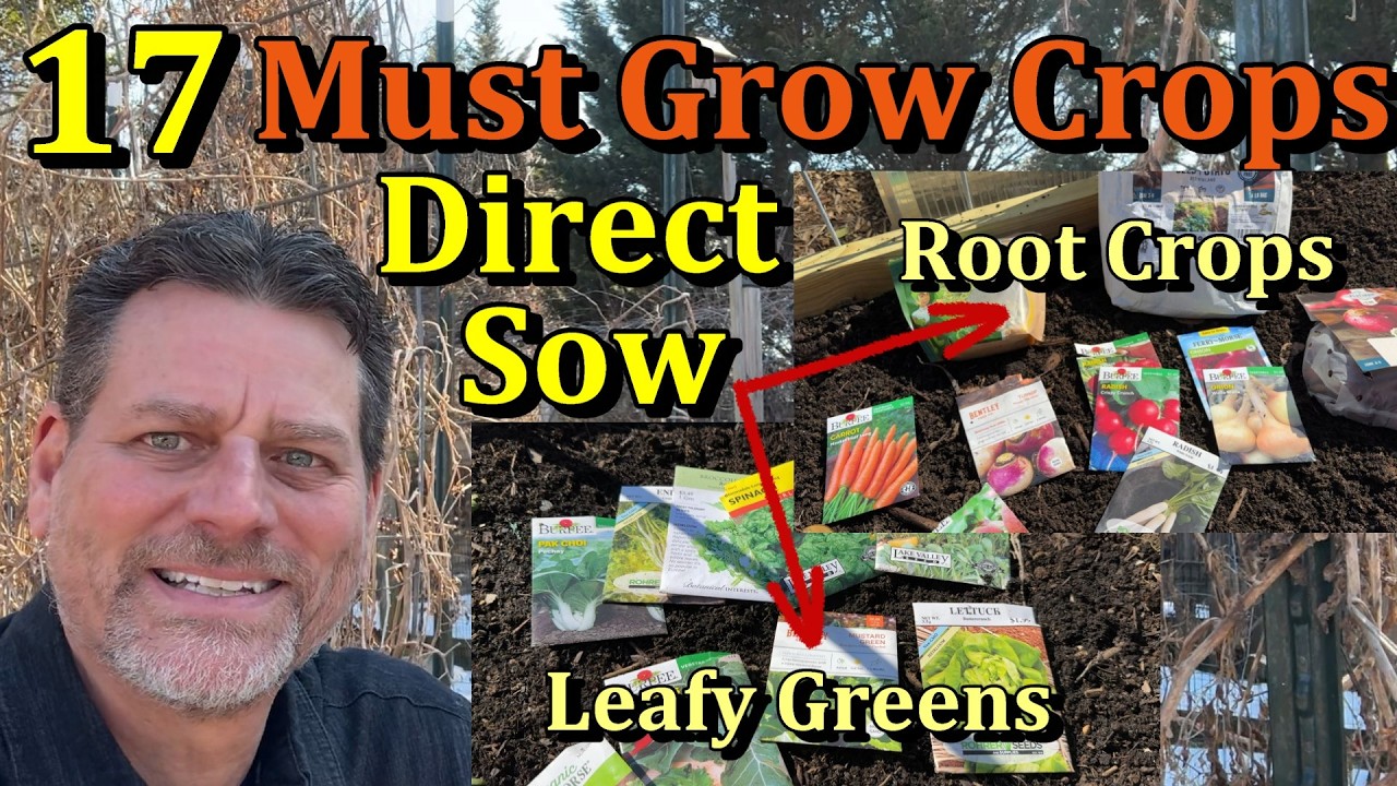 17 Crops to Direct Sow in Your Garden in March/April (Root Crops, Leafy Greens, Planting Directions)