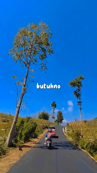 Jancok! sing tau diri #storywa #storywhatsapp #lagujawa #quotejawa #shortvideo #travelling #touring