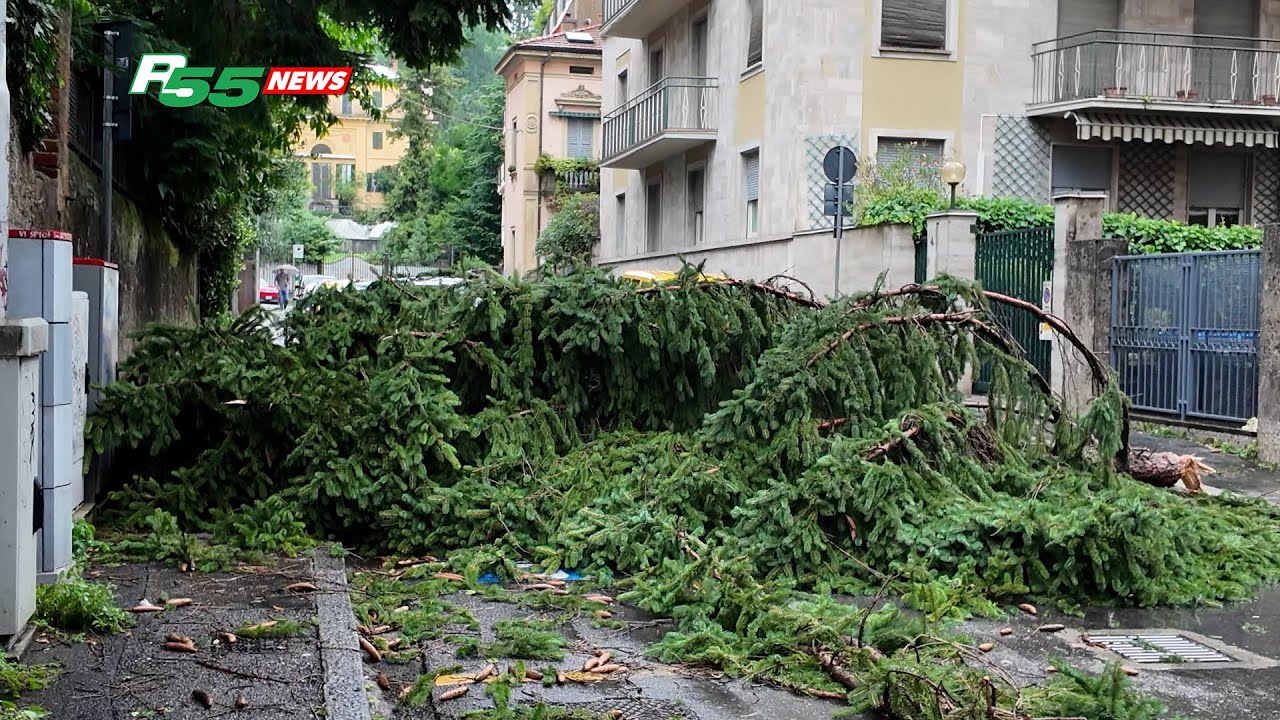 Varesotto - Tempesta e strage di alberi in tutta la provincia