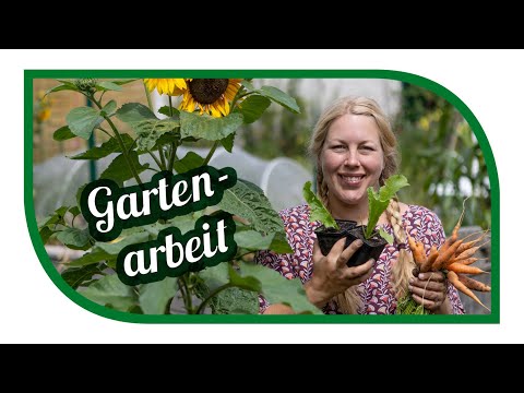 Gartenarbeit im Juli | Gartenrundgang im Gartengemüsekiosk | pikieren, säen und ernten