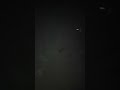fog #fog #shortvideo #trending #viralvideo