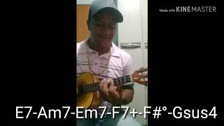 Vídeo de Gratidão