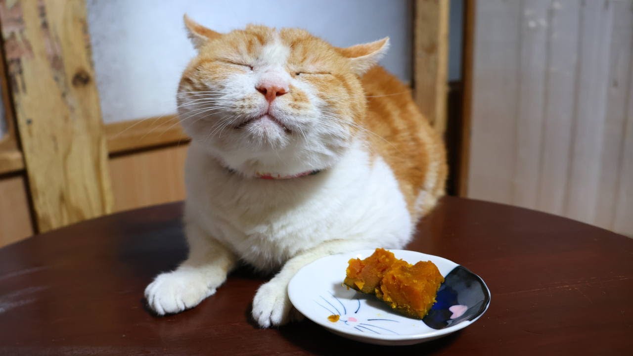 ちゃぶ台の上のロロンカボチャの煮付け　260119