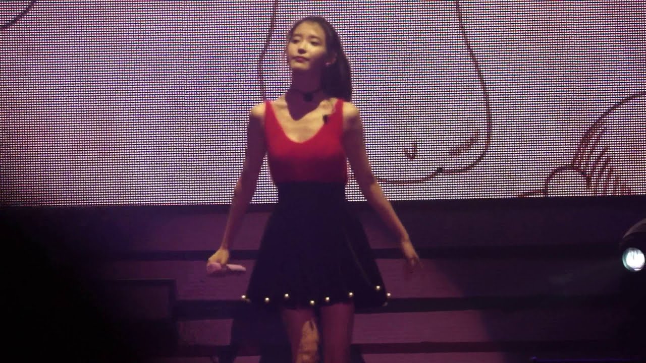 151213 아이유 Chat-shire 광주콘서트 금요일에만나요 직캠