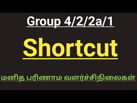 மனித பரிணாம வளர்ச்சி நிலைகள்