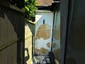 Render Makeover: From Peeling Paint to Perfect Finish