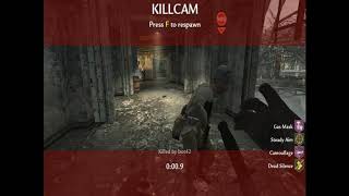 call of duty world at war pezbot mod SVT40 camouflage