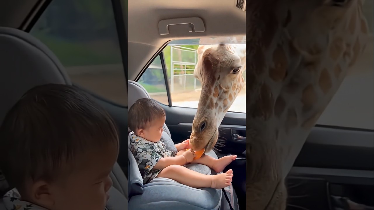 Good thing the Baby is safe 😱👼❤️👧🥰