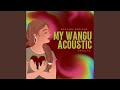 My Wangu Acoustic 
