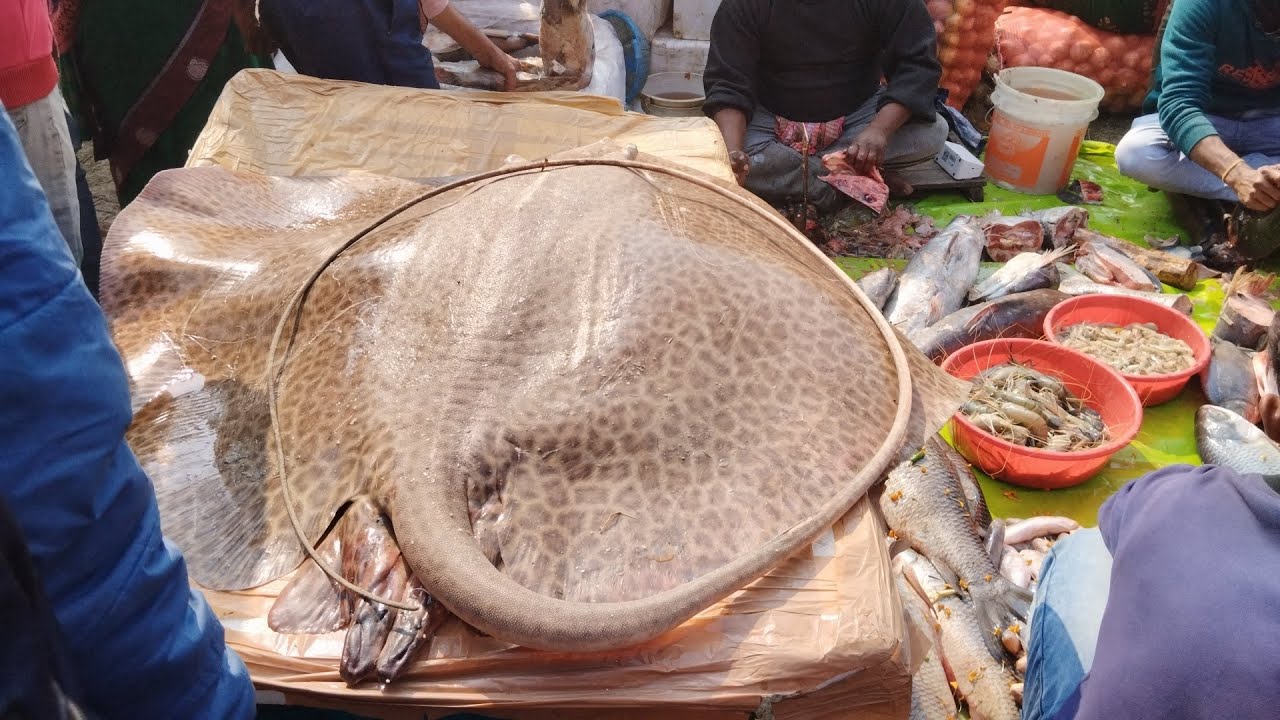 কেষ্টপুরের মাছের মেলায়