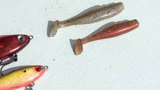 3 Best Lures For Saltwater Fishing, Soft Plastics, Hard Baits, Lead Headed  Jigs 