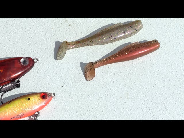 Fishing Lures: How To Choose The Right Size Lure (With Capt. C.A.  Richardson) 