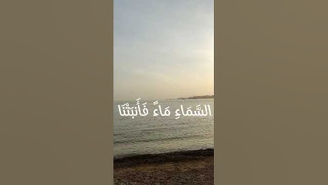 سورة النمل الآية (59) القارئ إسلام صبحي #قرآن