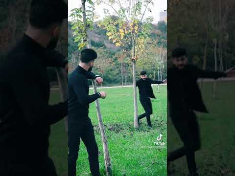 والله شكلي حبيتك