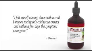 DHERBS Echinacea & Goldenseal Extract - Dherbs