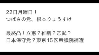 22日月曜日！つばさの党、根本りょうすけ、最終凸！立憲？維新？乙武？日本保守党？東京15区衆議院補選