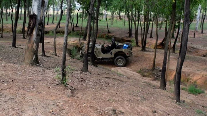 1964 Willys Cj3B stock #willyscj3b