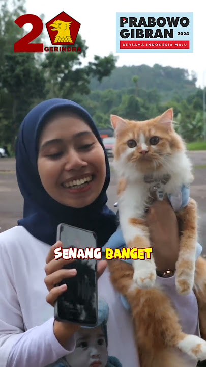 Download lagu Kenalin, Moccaccinolatte