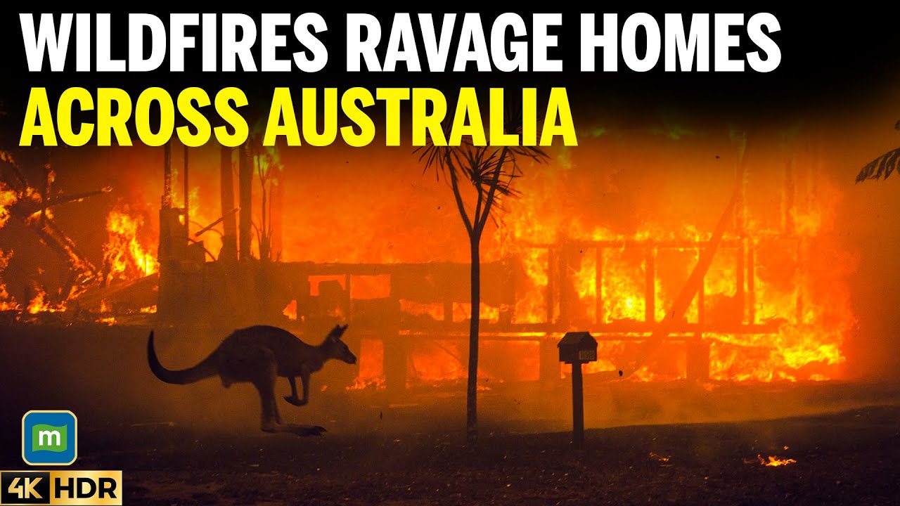 Австралия | Лесные пожары уничтожают: дома разрушены, десятки очагов возгорания полыхают из-за эк...